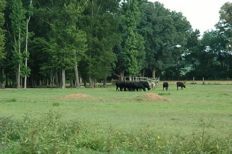 Picture of Land