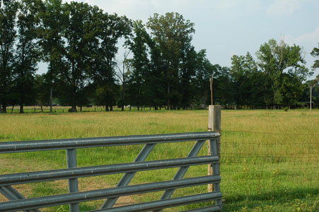 Picture of Land