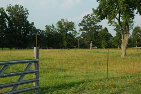 Picture of Land