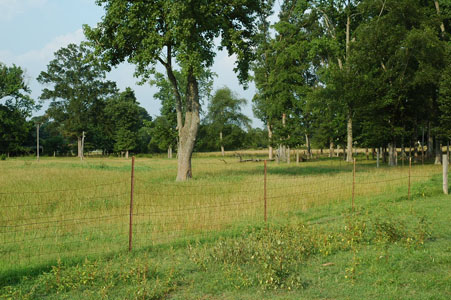 Picture of Land