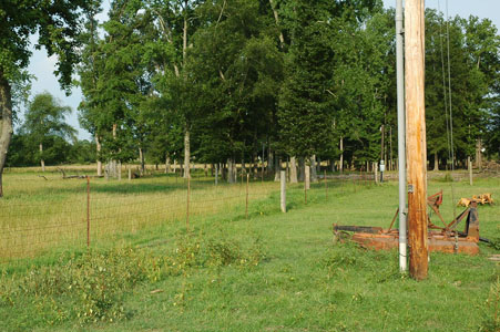 Picture of Land