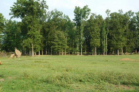 Picture of Land