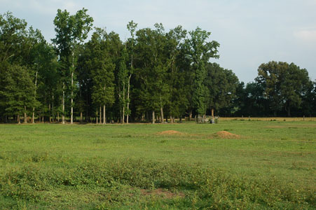 Picture of Land