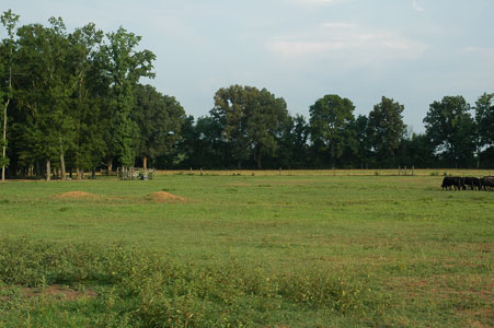 Picture of Land