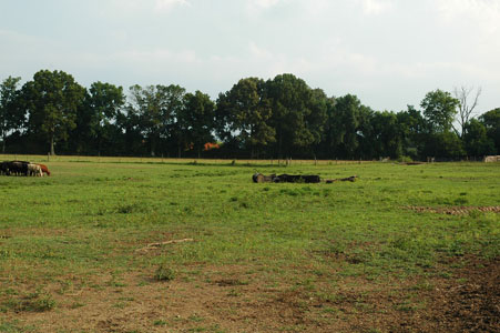 Picture of Land