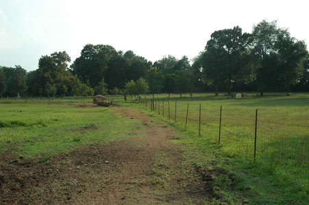 Picture of Land