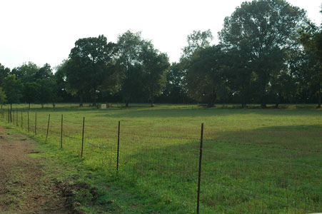 Picture of Land
