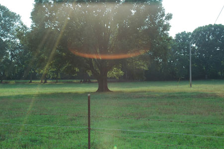 Picture of Land